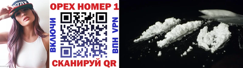 Купить закладки  Ельня  COCAIN 99% 